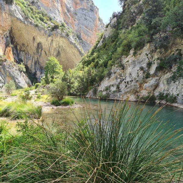 Barrasil canyoning Sierra de Guara